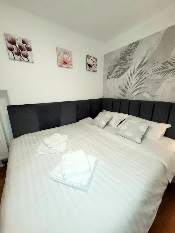 Pacha Residence Timisoara Ngoại thất bức ảnh